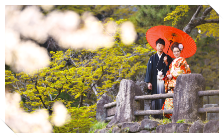 岡崎公園(岡崎城)