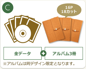 C:全データ+ミニアルバム3冊(16ページ・18カット)