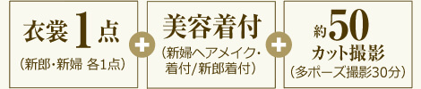 衣裳1点+美容着付+約50カット撮影