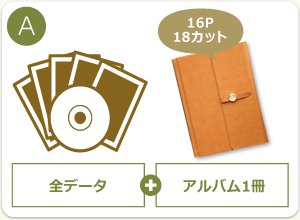 A:全データ+アルバム1冊(16ページ・18カット)