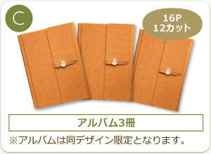 C:アルバム3冊(16ページ・12カット)