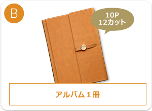 B:アルバム1冊(10ページ・12カット)